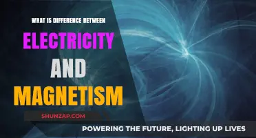 Electricity and Magnetism: Exploring Their Unique Relationship