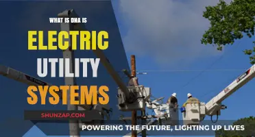 Electric Utility Systems: DNA's Power and Potential