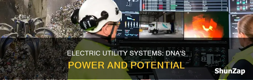 what is dna is electric utility systems