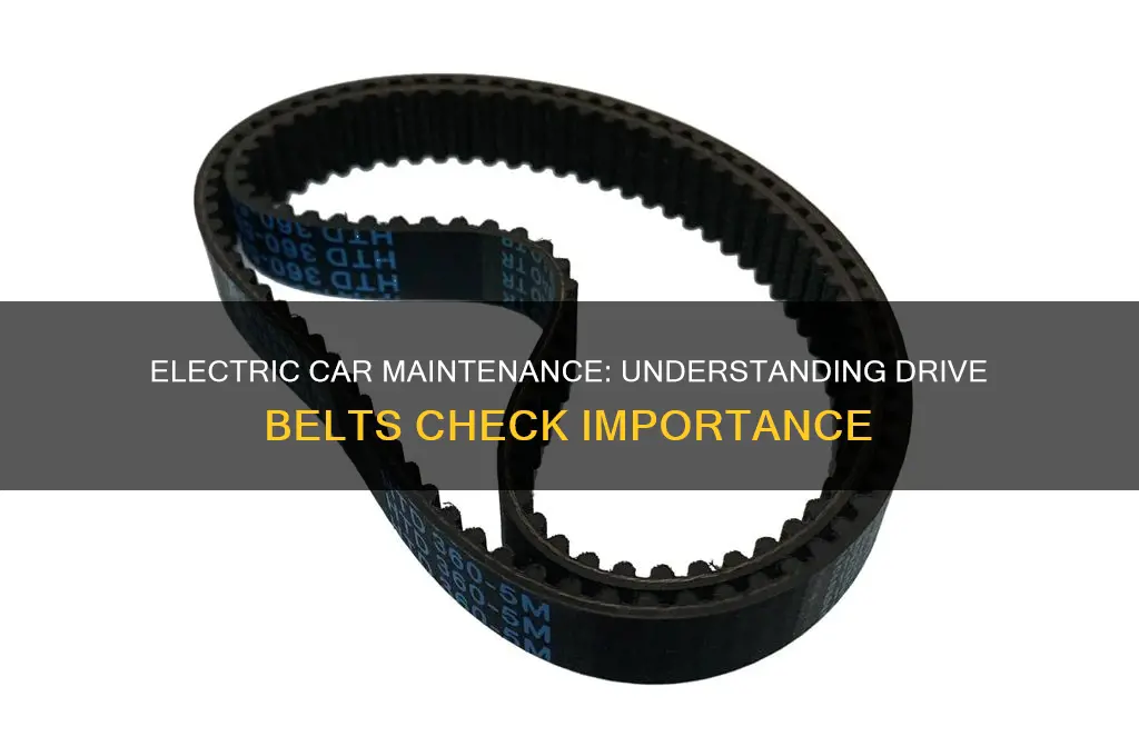 what is drive belts check on electric cars