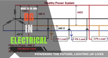 Understanding EB and DG Electrical Systems