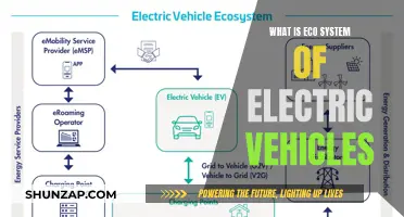 Unveiling the Green Revolution: Electric Vehicle Ecosystems Explained