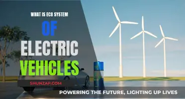 Electric Vehicles: Understanding Their Unique Eco-System