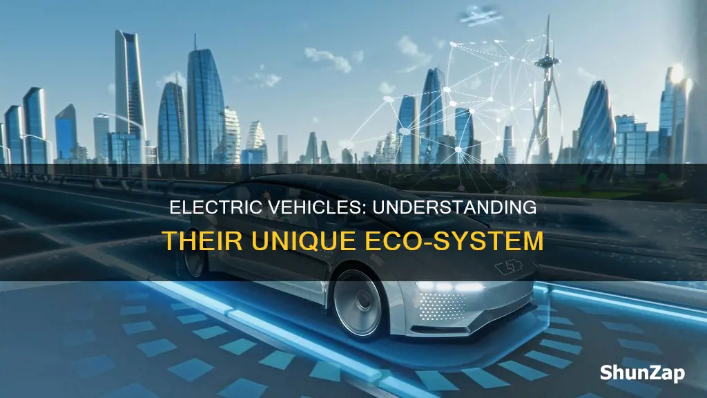 what is eco system of electric vehicles