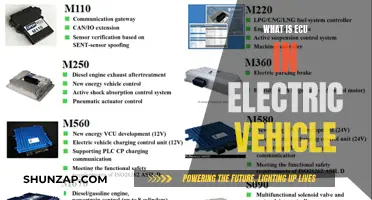 The Brain of Electric Vehicles: Understanding the ECU