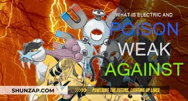 Electric and Poison Types: Who's Their Arch-Nemesis?