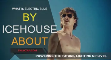 The Meaning Behind Icehouse's Electric Blue