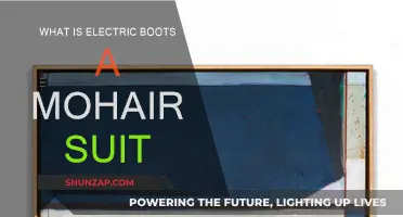 Electric Boots and Mohair Suits: A Style Evolution