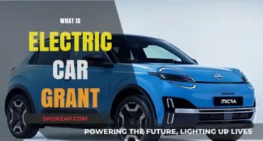 Understanding the Electric Car Grant: Benefits, Eligibility, and Application Process