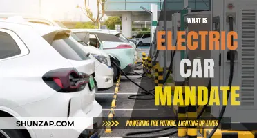 Understanding the Electric Car Mandate: Impact and Future Implications