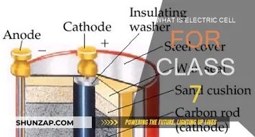 Electric Cell: Powering Our Devices