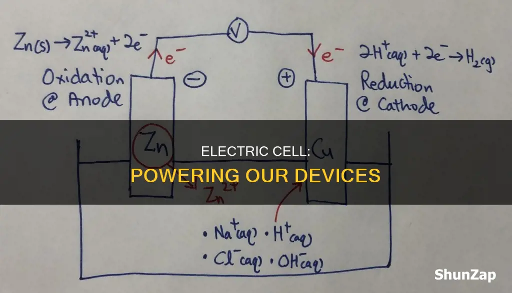 what is electric cell for class 7