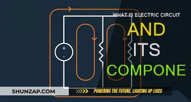 Understanding Electric Circuits and Their Components