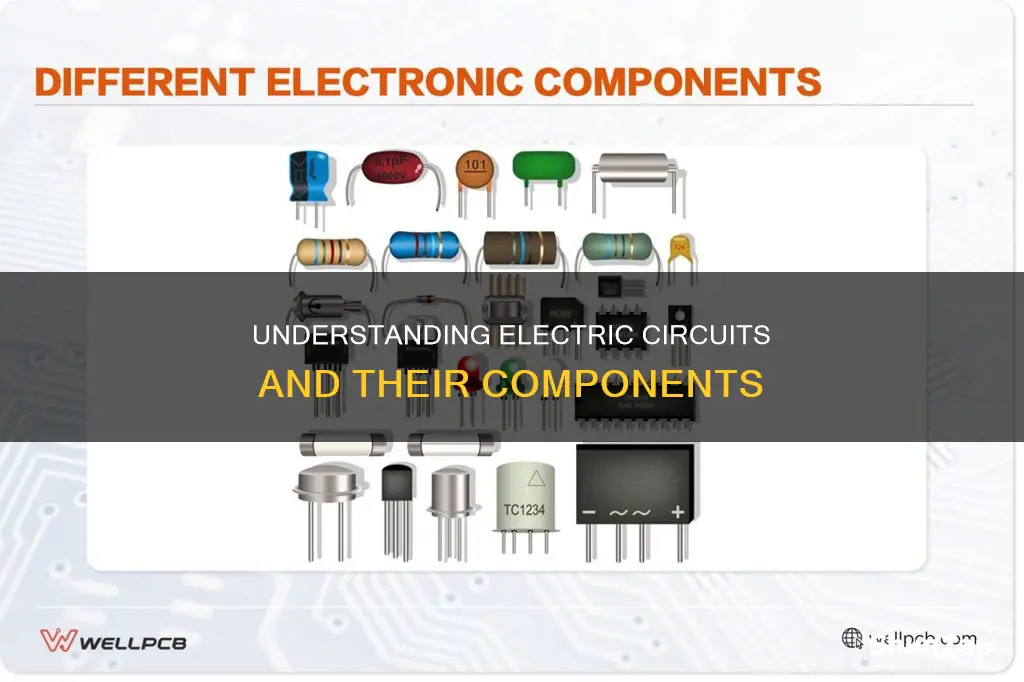 what is electric circuit and its components