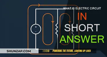 Circuit Basics: Understanding Electric Circuits