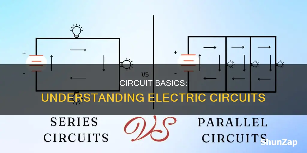 what is electric circuit in short answer