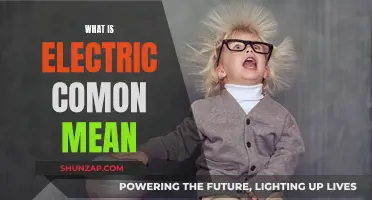 Electric Common Mean: Understanding the Basics of Electricity