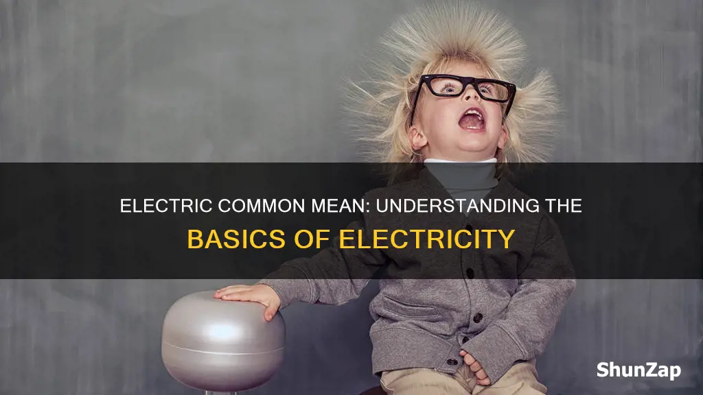 what is electric comon mean