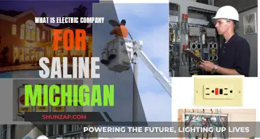 Electric Company: Powering Saline, Michigan with Renewable Energy