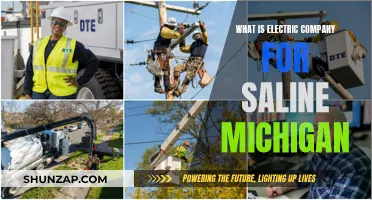 Electric Company Options in Saline, Michigan: Who to Choose?
