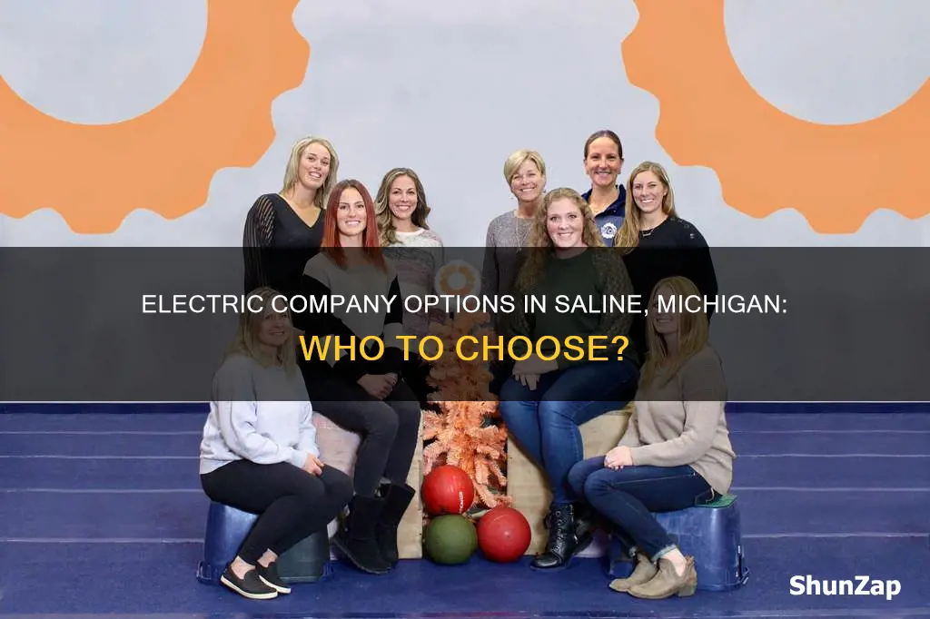 what is electric company for saline michigan