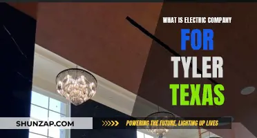 Tyler, Texas: Electric Company Options and Insights