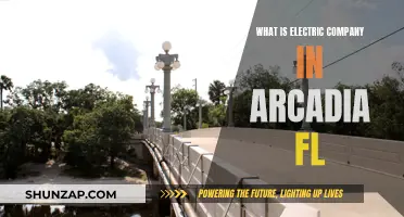 Arcadia's Electric Company: Powering the Community with Sustainable Energy Solutions