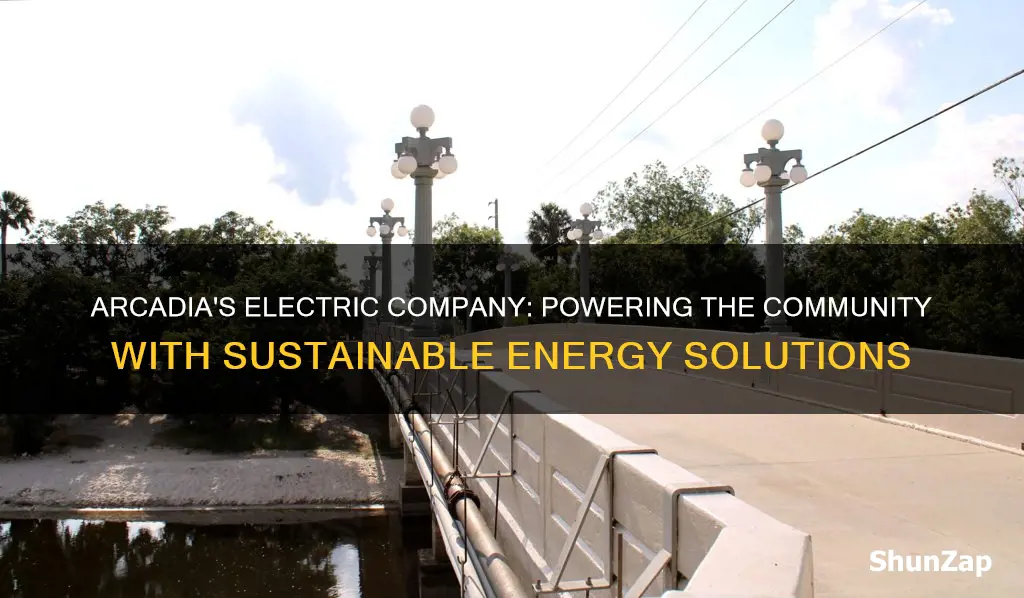 what is electric company in arcadia fl