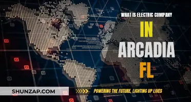 Electric Company in Arcadia, FL: Who Powers Arcadia?