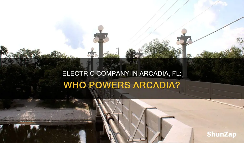 what is electric company in arcadia fl
