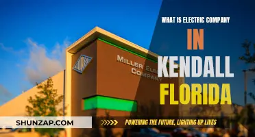 Kendall's Electric Company: Powering the Future in Florida