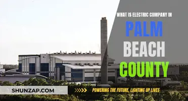 Unveiling Palm Beach County's Electric Company: Powering a Sustainable Future