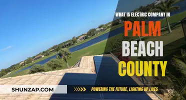 Electric Company in Palm Beach County: Who Powers Your Home?