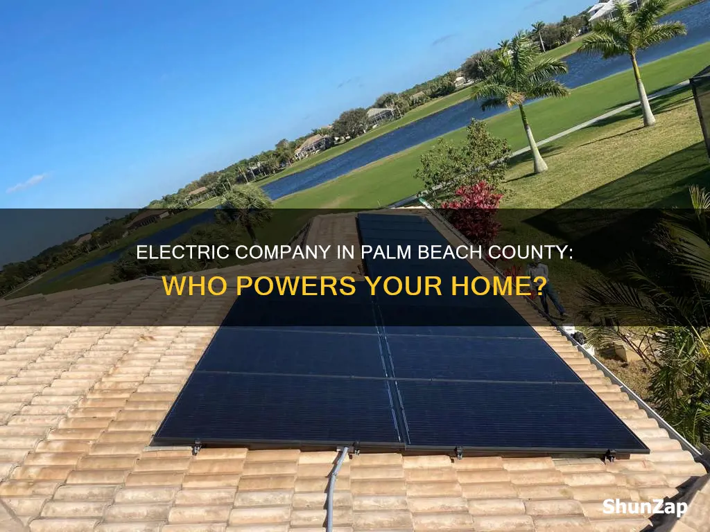 what is electric company in palm beach county