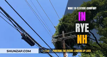 Unveiling the Mystery: Electric Company in Rye, NH