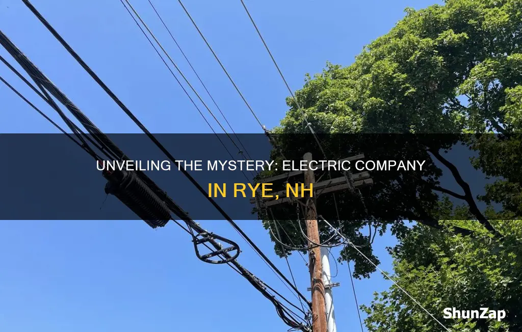 what is electric company in rye nh