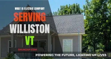 Electric Company Options in Williston, VT: Who Serves the Area?