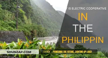 Electric Cooperatives: Powering Philippine Communities