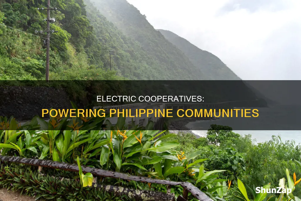 what is electric cooperative in the philippines