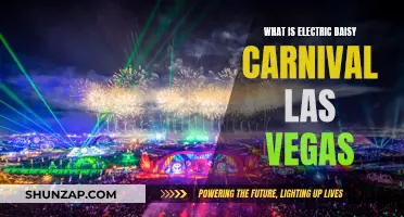 Electric Daisy Carnival: Vegas' Festival of Music and Lights