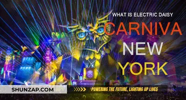 The Electric Daisy Carnival: NYC's Festival of Lights