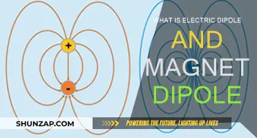 Understanding Electric and Magnetic Dipoles: Fundamental Concepts