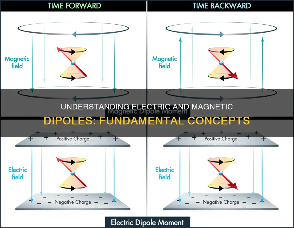 what is electric dipole and magnetic dipole