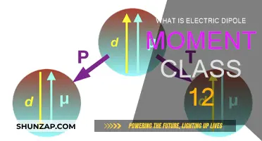 Understanding Electric Dipole Moments in Physics