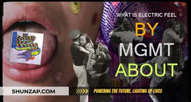 Electric Feel's True Meaning: MGMT's Musical Mystery