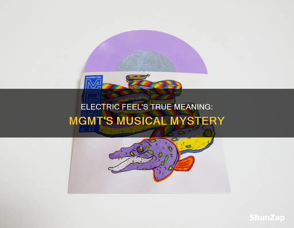 what is electric feel by mgmt about