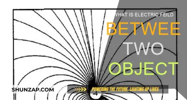 Understanding Electric Fields: Forces Between Objects