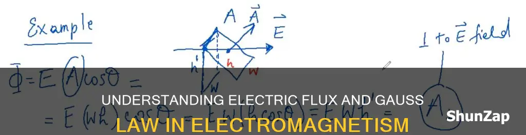 what is electric flux and gauss law
