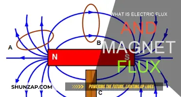 Understanding Electric and Magnetic Flux: Defining Key Concepts