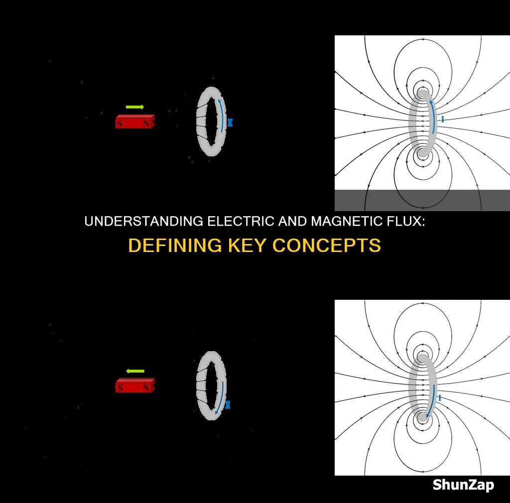 what is electric flux and magnetic flux